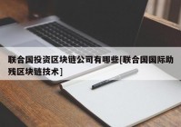 联合国投资区块链公司有哪些[联合国国际助残区块链技术]